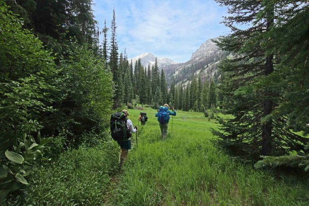 Hiking through a lush, grassy meadow on our way to Nanny Creek on day 5.
